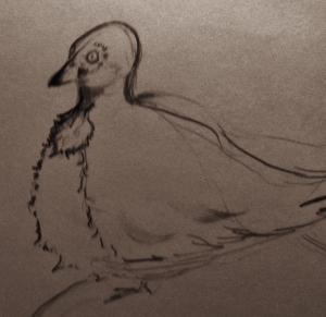 My version of a Pigeon